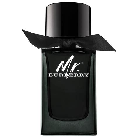 mr burberry eau de parfum 5 oz|mr burberry perfume price.